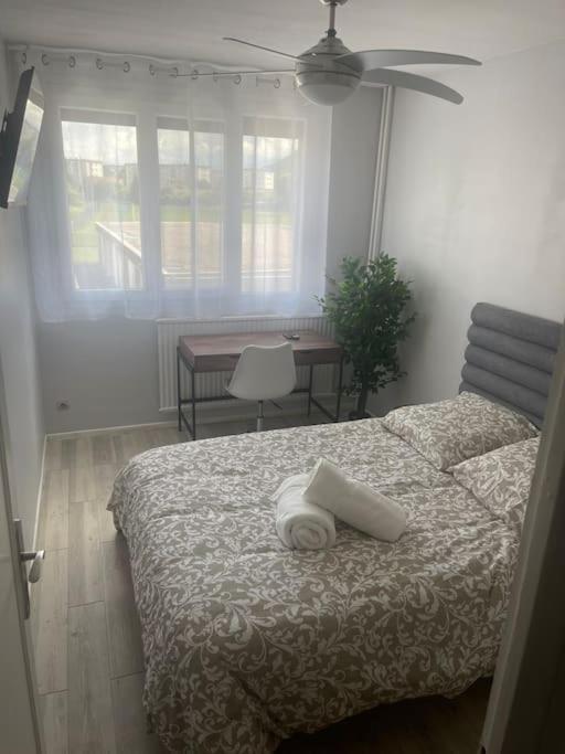 Appartement Entier Climatise - Parking Prive Saint-Martin-dʼHères Extérieur photo